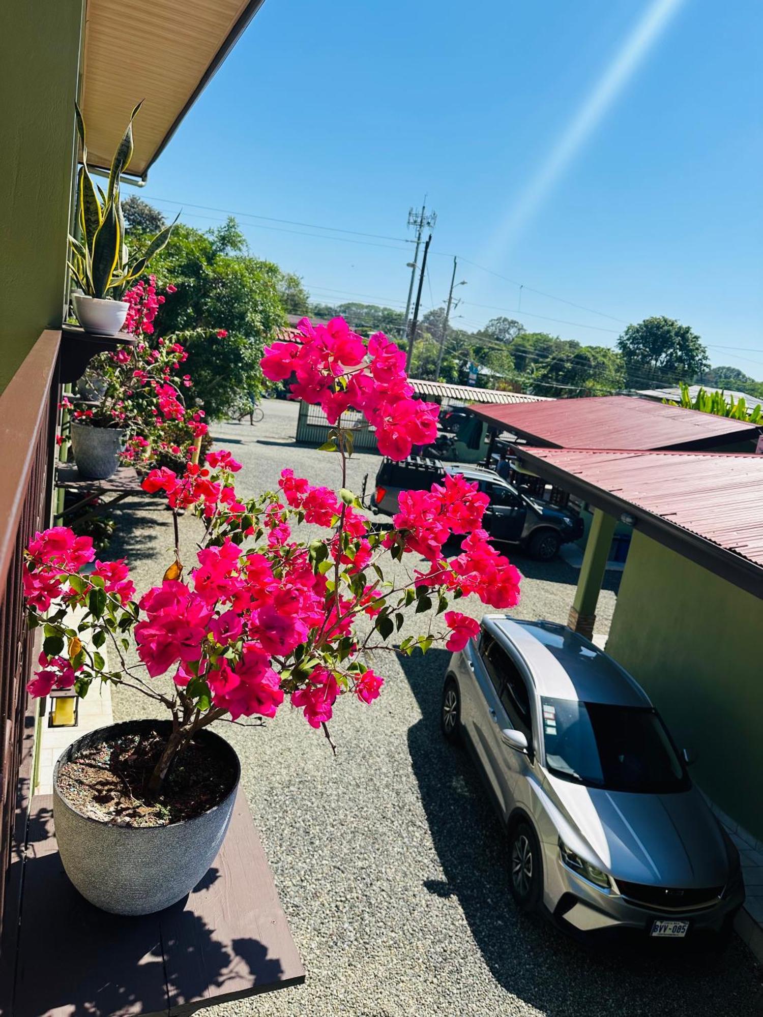 Hotel La Fiore De Bahia Uvita Kültér fotó